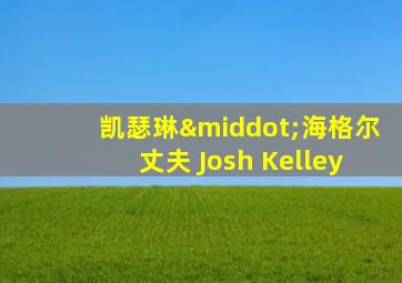 凯瑟琳·海格尔丈夫 Josh Kelley